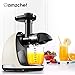 Slow Juicer,AMZCHEF Slow Masticating Juicer Extractor Professional Machine with Quiet Motor/Reverse Function,Cold Press Juicer with Brush,for High Nutrient Fruit & Vegetable Juice