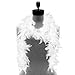 Skeleteen Feather Boa Costume Accessory - 1920's White Boa with Feathers - 1 Piece
