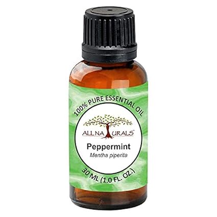 All Naturals 100% Pure Peppermint Essential Oil (UP, India) for Aromatherapy, Hair, Bath & Focus - 30 ML