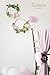 Ling's moment Large Paper Flower Decorations for Wall, 5 X Handcrafted Pink & White Crepe Paper Flowers for Baby Nursery Bridal Shower Party Wedding Backdrop Archway Centerpiece