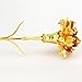 Ranipobo Sweetly Carnations Flower Mother's Day Gift 24K Gold Plated Decoration Golden Flowers 