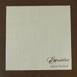 ParaFlexx Reusable Ultra Silicone 11 x 11 Non-Stick Fruit Leather Drying Sheet: use with Excalibur