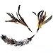 Replacement Feathers 5 Pack, Plus Bonus Soft Furry Tail For Interactive Cat and Kitten Toy Wands, Natural Feathers