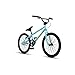 Redline Bikes Raid 20 Youth BMX, Coaster Brake, Blue