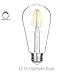 FluxSmart 8W Dimmable Edison Style Vintage LED Filament Light Bulb, 2700K Warm White, 800 Lumen, E26 Base ST21/ST64 Lamp, 60W Incandescent Bulb Equivalent (8 Watts)
