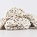 Freeze Dried Premium Dragon Fruit