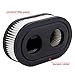 HIPA (Pack of 2 593260 798452 Air Filter Cartridge for Briggs & Stratton 550E-550EX Series 4247 5432 5432K Engine Lawnboy Lawnmower