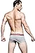sandbank Men's Sexy Lingerie Cotton Tie Rope Cute Boxer Brief Underwear Panties (US M=Asian Tag XL,Grey#1)
