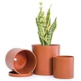 4 Inch 5 Inch 6 Inch, Set of 3 Plastic Planter Pots
