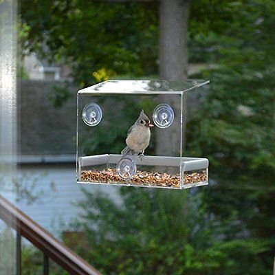 Pinkdose White M Clear Window Squirrel Proof Bird Feeder Window