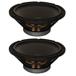 Goldwood Sound, Inc. Stage Subwoofer, Heavy Duty