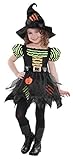 Juniors Pumpkin Patch Witch Costume