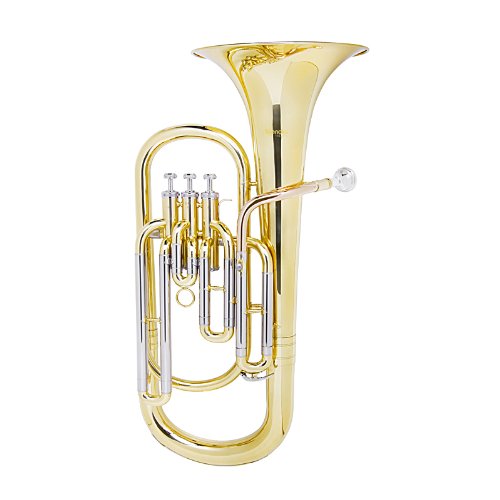 1 Mendini+MBR+30+Intermediate+Baritone+Stainless