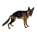 Kruuse Rehab Knee Protector For Dogs, Right, Medium