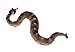Safari Ltd Incredible Creatures Sidewinder Rattlesnake