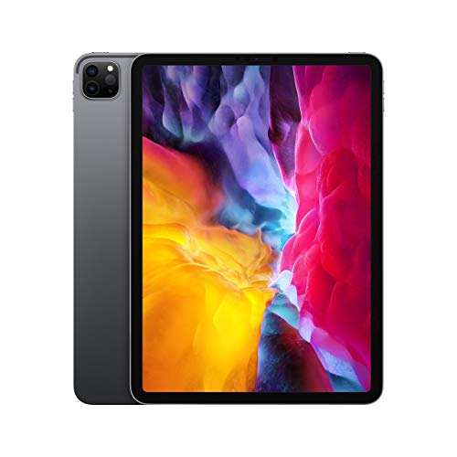 Apple iPad Pro 2018 (11-pouces, Wi-Fi, 256 Go) Gris Sidéral (Reconditionné)