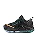 Nike Men's Lebron XII Low Basketball Shoe