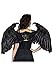 ZUCKER Gothic Maleficent Style Fallen Angel Feather Wings Halloween Costume