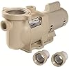 Amazon.com : Pentair 011018 IntelliFlo Variable Speed High