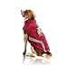 NFL Dog Puffer Vest