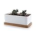 T4U Ceramic Rectanglar Succulent Plant Pot with Free Bamboo Tray White Gift for Home Office Decoration