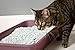 HARTZ Multi-Cat Lightweight Recycled Clumping Paper Cat Litter