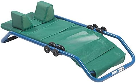 dolphin bath chair