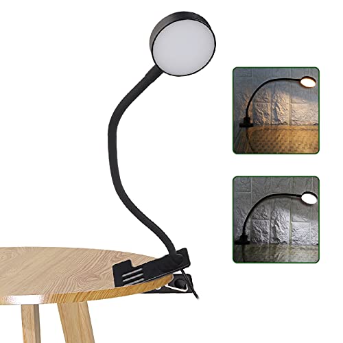 ZJchao USB LED Lamp with Bracket, 2 Light Colors Clip-on Table Lamp, Precision Work Clamp Lamp for Makeup, Tattoo, Reading