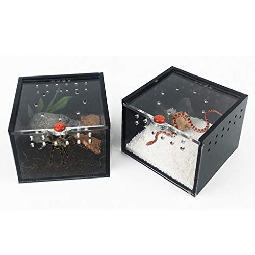 image for B Blesiya Holes Design Reptiles Amphibians Habitat Terrarium Vivarium 