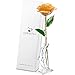 DEFAITH Real Rose 24K Gold Dipped, Forever Gifts for Her Valentine's Day Anniversary Wedding and Proposal - Yellow with Stand