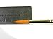 ZEM Brush Golden Synthetic Rounds Brushes Set Sizes 2,4,6,8,10