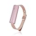 Misfit Ray Band Fair - Stainless Steel Replacement Band - Silver, Gold or Rose Gold