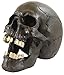 Seraphic Creepy Halloween Human Skull Sculpture with Mouth Open, Black