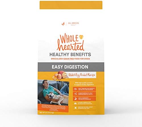 lemon beagle lab mix