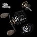 Fiblink Baitcasting Fishing Reel 9+1 Ball Bearings Casting Reel Right/Left Handed Baitcaster (Right)