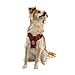 Gooby - Comfort X Step-in Harness, Choke Free Small Dog Harness with Micro Suede Trimming and Patented X Frame, Red, Medium