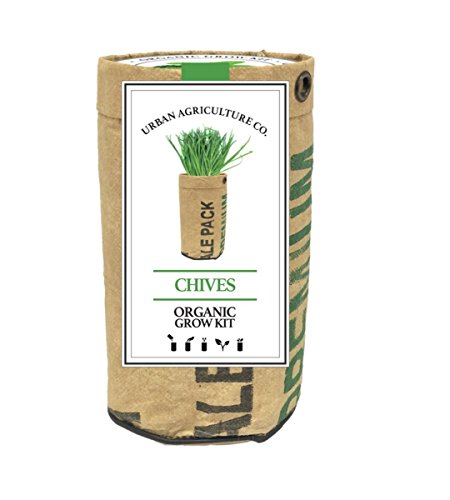 Urban Agriculture Herb Garden - Chive