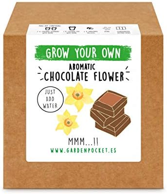 Garden Pocket - Kit Grow You Own Aromatic Chocolate Plant