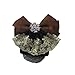 Szeagle Women Bun Cover Net Snood Bowknot Decor Barrette Hair Clip Brown