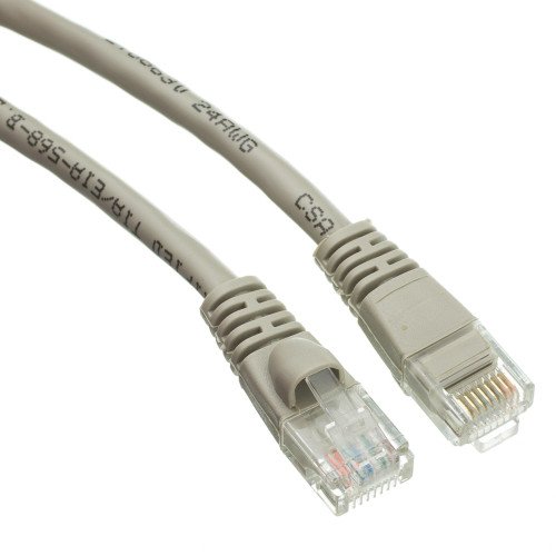 CableWholesale 50-Feet 500MHz CAT6A UTP with Molded Boot, Gray (13X6-02150)