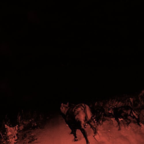 Album Art for Shadow On Everything by Bambara