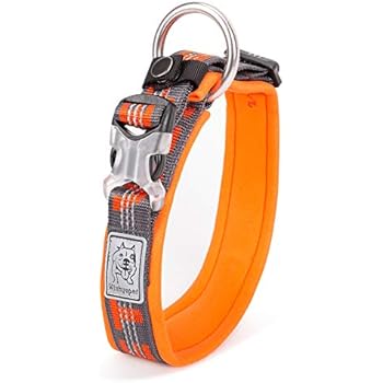 Chai's Choice Best Neoprene Padded 3M Reflective Dog Collar for Large, Medium, Small Dogs. Please Use Sizing Chart at Left.