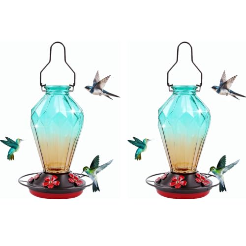 Glass Hummingbird Feeder