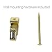Banberry Designs Brass Vinyl Coated Plate Hanger 5 to 7 Inch Plates - Set of 4 - Includes Hook and Nail for Hanging