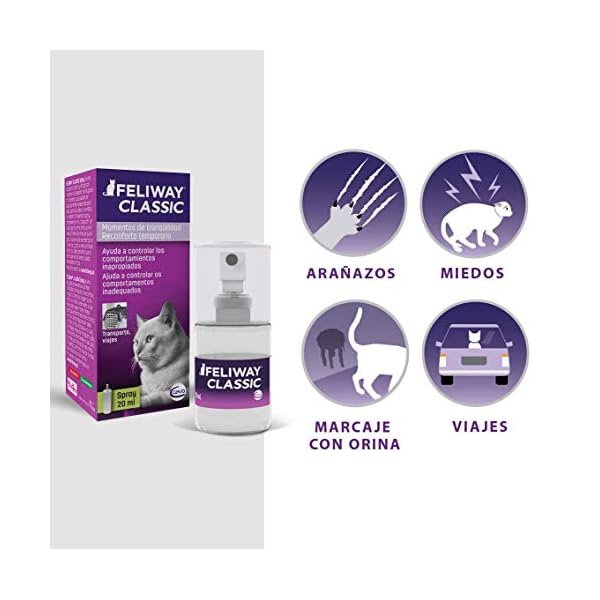 FELIWAY-Classic-20ml-Spray-comforts-cats-and-helps-solve-behavioural-issues-in-the-home-and-on-the-move-20ml FELIWAY Classic 20ml Spray, comforts cats and helps solve behavioural issues and stress/anxiety in the home and on the…