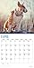 2020 Bull Terriers Calendar 16 Month 12 x 12 Wall Calendar by Bright Day Calendars (Terriers Collection) (Bull Terriers 2019)
