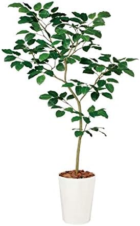 Amazon Co Jp 人工観葉植物 ベンガルボダイジュfst 180cm 高さ180cm Dt 代引き不可 インテリアグリーン 造花 おもちゃ