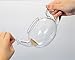 Hario 800ml Jumping Tea Pot - Hario JP-4