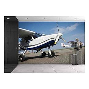 Small Airplane - Removable Wall Mural | Self-Adhesive Large Wallpaper - 66x96 inches