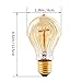 HESSION Edison Light Bulbs, A19 led 40w Vintage Antique Tungsten Filament Bulbs,E26 Base Edison Bulbs, Decorative Light Bulb Dimmable Amber Glass(6 Pack)